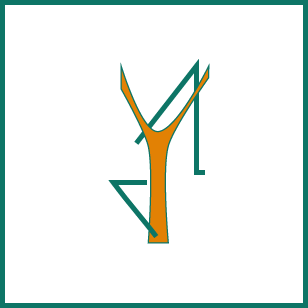 Lampyridae Comunicación