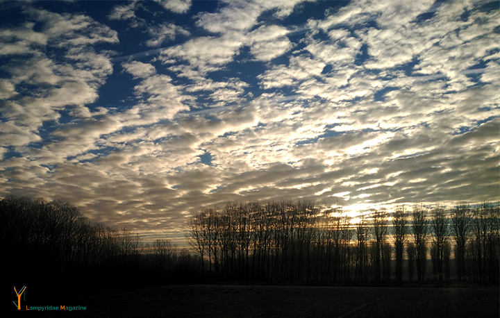 Fotografía amanecer